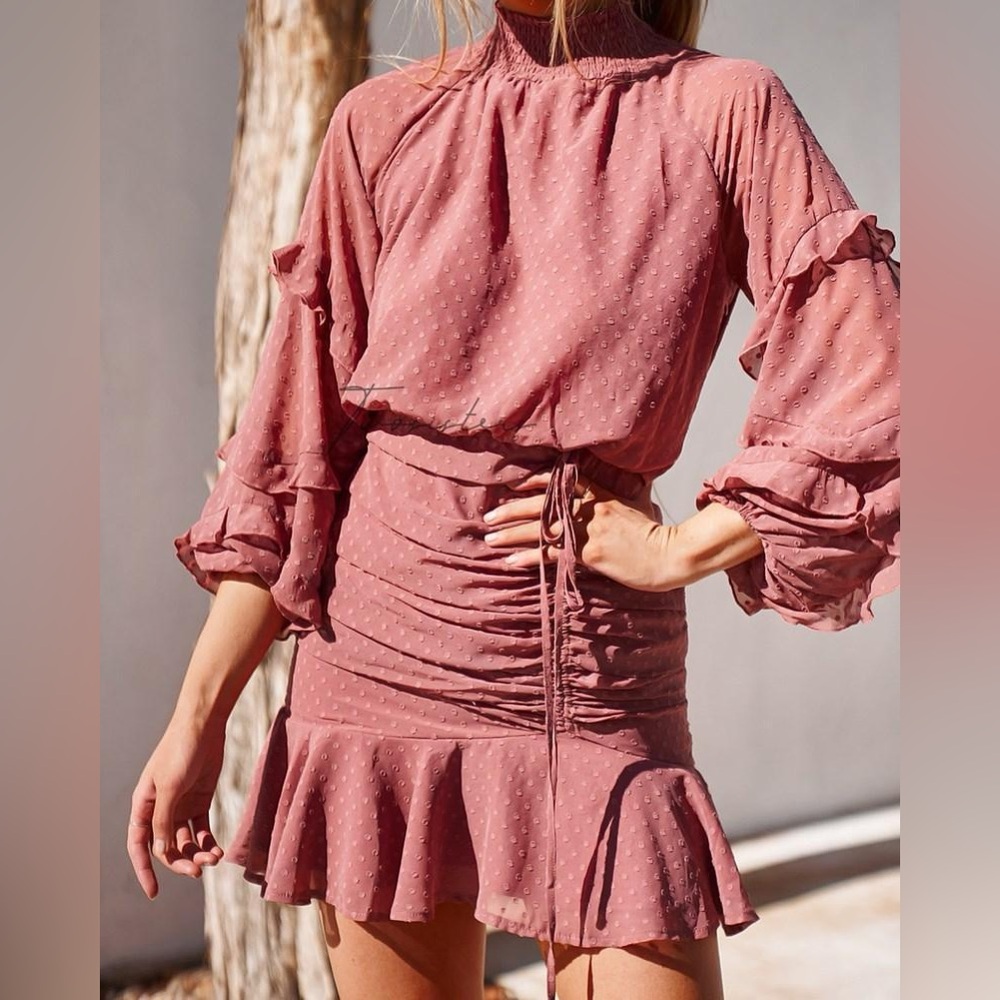 Two Sisters Dusty Rose Swiss Dot Ruffle Blouse and Skirt Set